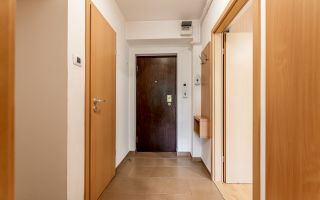 Apartament 2 camere, etaj 2, bloc cu lift, Libelula, Arad - Poză 4