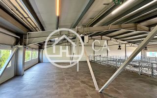 Hală de vânzare în zona industrială Vest, Oradea - Poză 11