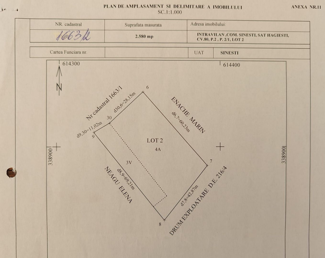 Teren intravilan 2580 mp - Hagiesti - Poză 5