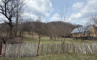 Teren 6040 mp la baza pădurii deschidere 40 ml - Poză 11