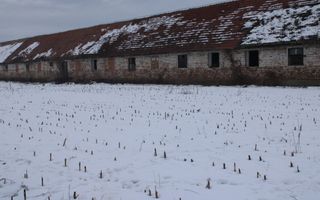 Ferma de Vânzare – Oportunitate Unică! - Poză 14