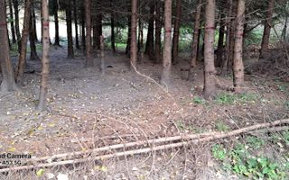 TEREN INTRAVILAN 500 MP, LERESTI-VOINA, ARGES - Poză 1