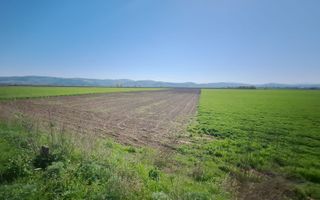 Teren extravilan, 8700 mp, pretabil agricultură sau investiție - Bod - Poză 8