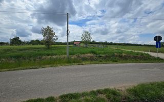Teren intravilan Ardud Vii Satu Mare - Poză 4