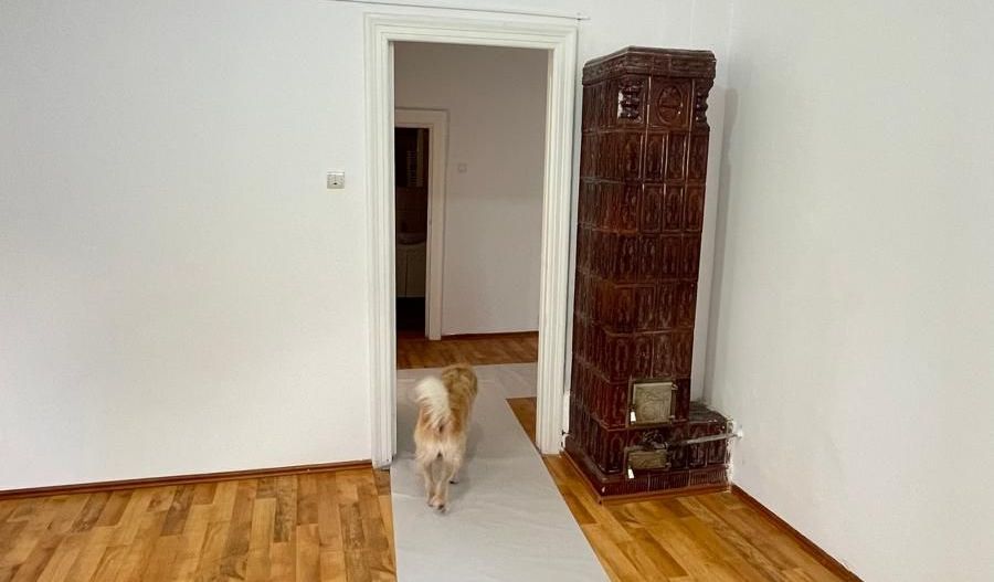 APARTAMENT RENOVAT PARCARE  ZONA UNIRII - Poză 10