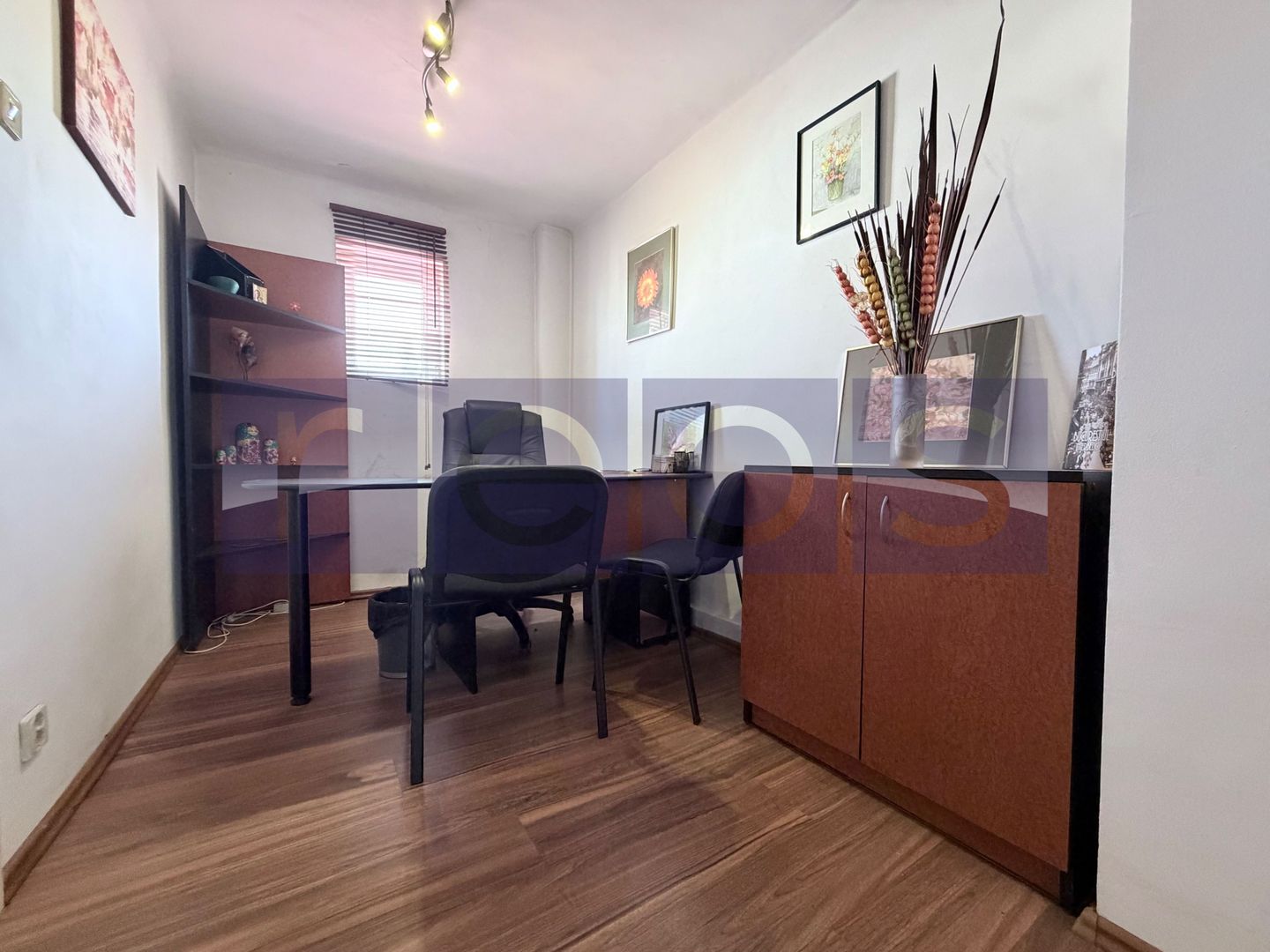 VANZARE APARTAMENT | VILA INTERBELICA | BOXA | ZONA CISMIGIU - Poză 9