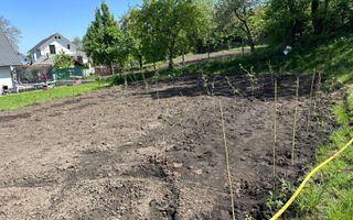 Casa 11 camere | Ipotesti, Suceava | 800 MP teren | 510.000€ - Poză 41