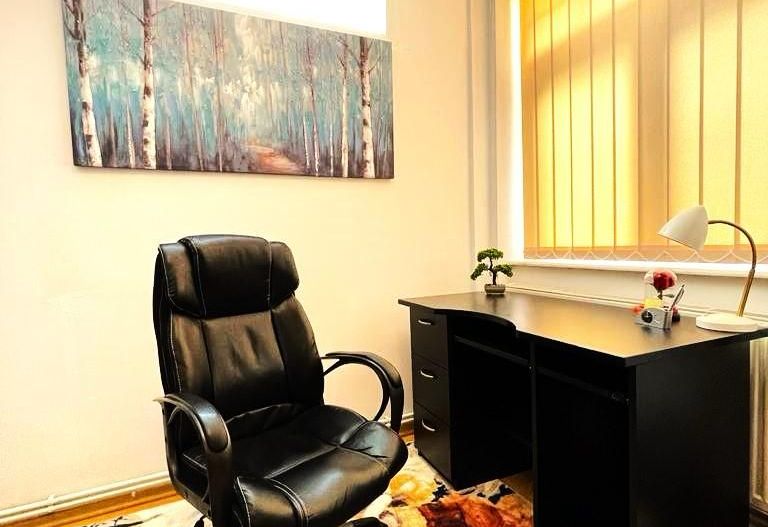 Apartament 3 camere - Piața Victoriei - curte 30mp  - 113mp utili - Poză 13