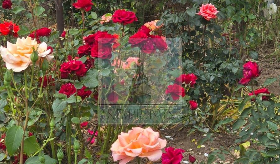 Apartament 2 camere/ zona Tractorul - Poză 17