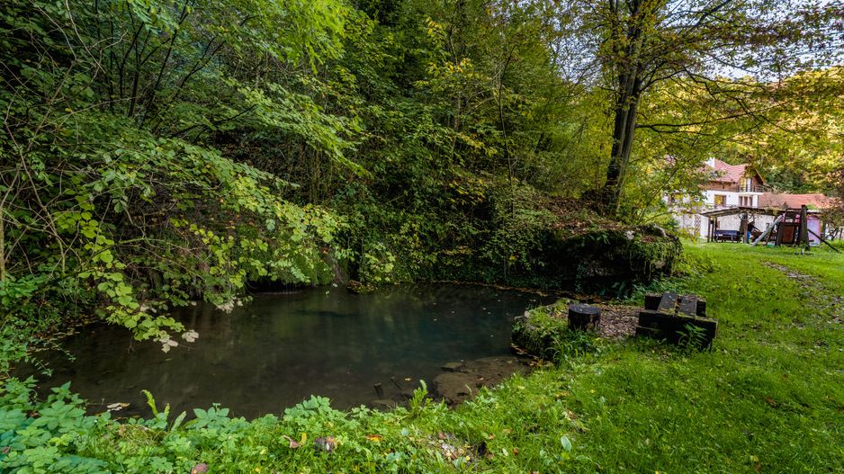 Domeniu în satul Căprioara - Poză 21