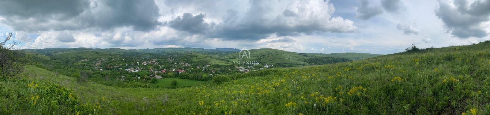 Domeniu 15.900 mp în Fințești | Casă + Investiție Dealu Mare - Poză 17