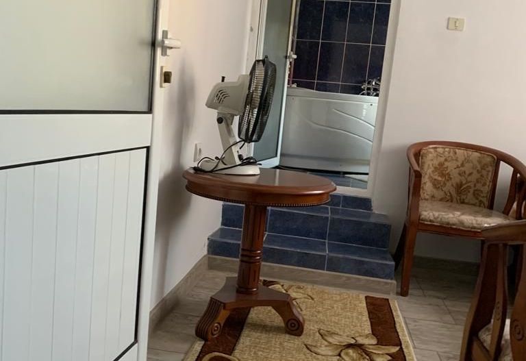 Exclusivitate Casa individuala zona centrala - Poză 5