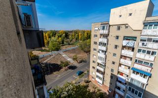 Apartament cu 5 camere pe Splaiul General Gheorghe Magheru, Micălaca - Poză 4