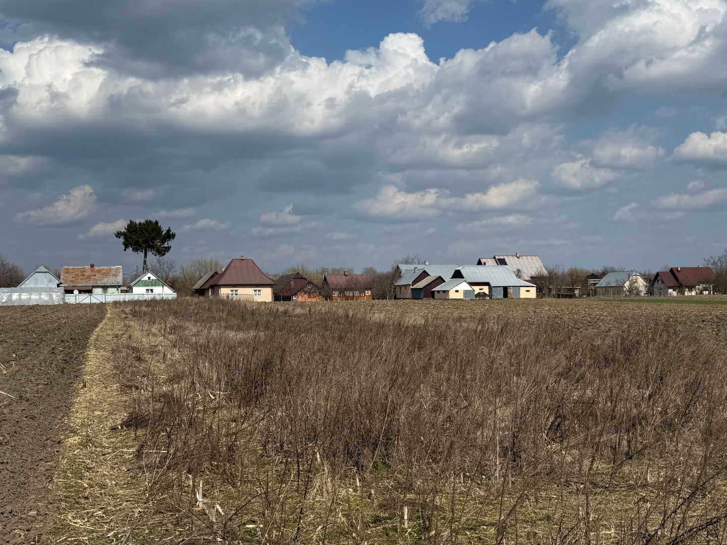 Teren intravilan de vânzare | Frătăuții Vechi | 30 ari | Dublu acces - Poză 5