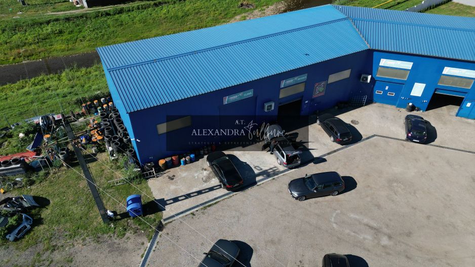 Oportunitate strategică de dezvoltare în Hațeg 3.079 mp - Poză 28
