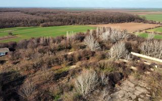 Ferma si livada de meri in judetul Ilfov - Poză 14