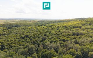 TEREN AGRICOL EXTRAVILAN  22.900 MP LIPOVA - Poză 7