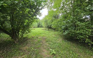 Teren intravilan de vânzare în Cornu de Sus – 1.363 mp fara inclinatie - Poză 2