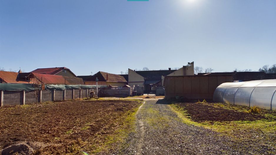 Vilă cu poveste, Săvârșin - Poză 10