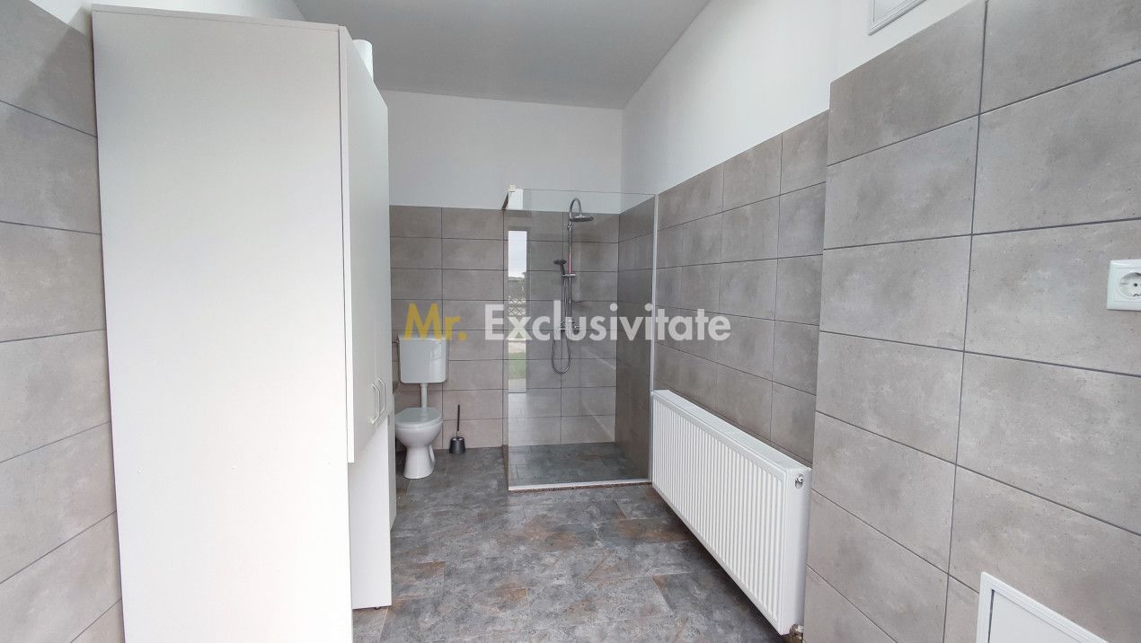 Inchiriere Spații de Birouri/Producție - Str. Uzinei - Carei - Comision 0% - Poză 11