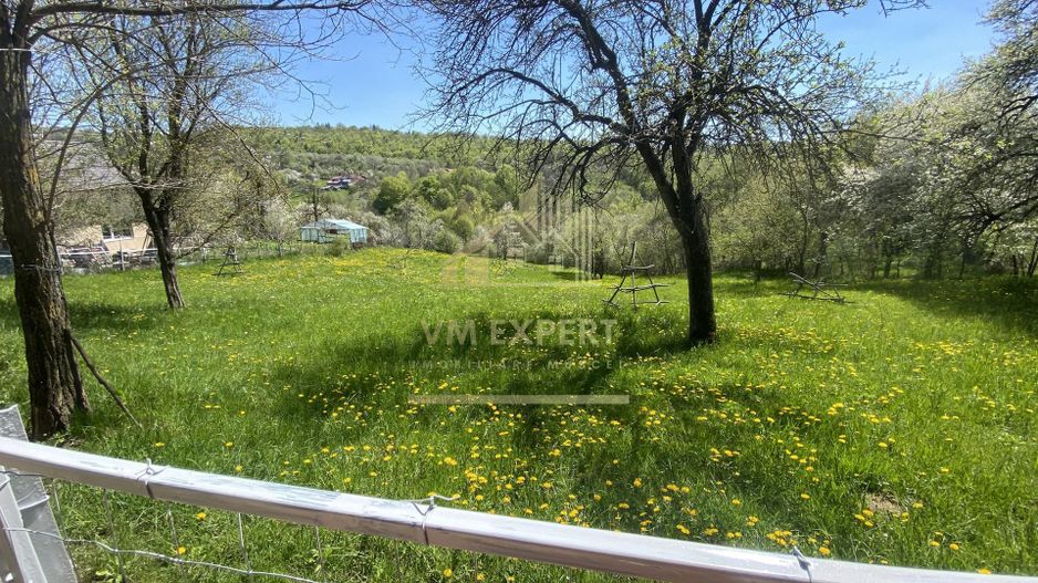 TEREN INTRAVILAN 3265 MP, VALEA MARE PRAVAT, ARGES - Poză 2