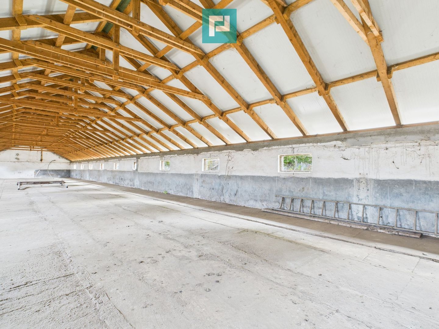 Hală pentru producție / fermă zootehnică  - Variaș - Poză 12