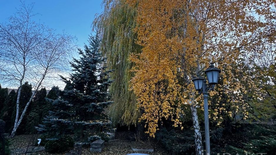 Casa individuala cu 5 camere si gradina in Colonia Sopor - Poză 16