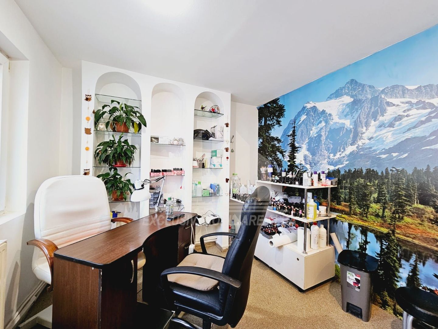 Spatiu comercial cu extindere, Cetate - Poză 4