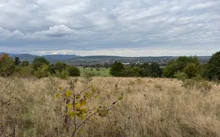 Teren de vânzare în Putna | 6.400 mp | 56 m front stradal - Poză 11