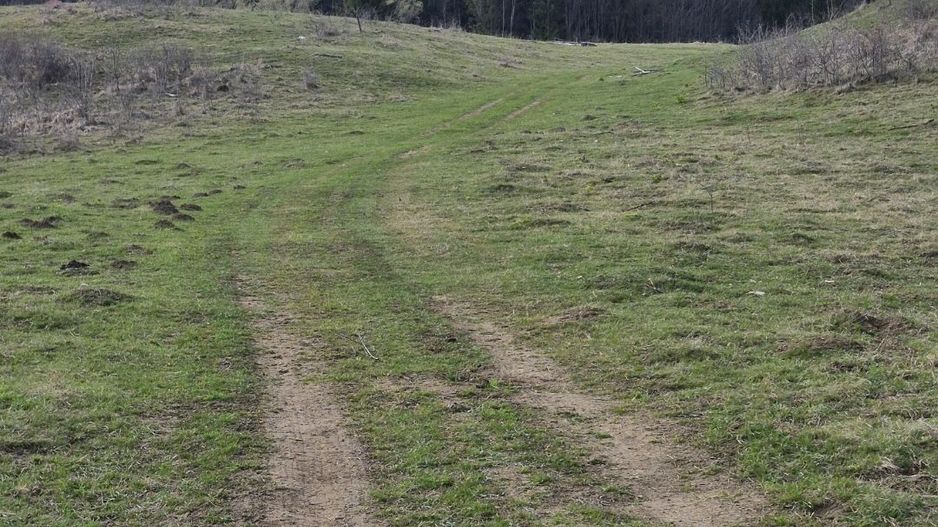 Teren intravilan la baza pădurii Valea Doftanei sat Traisteni (poduri) - Poză 11