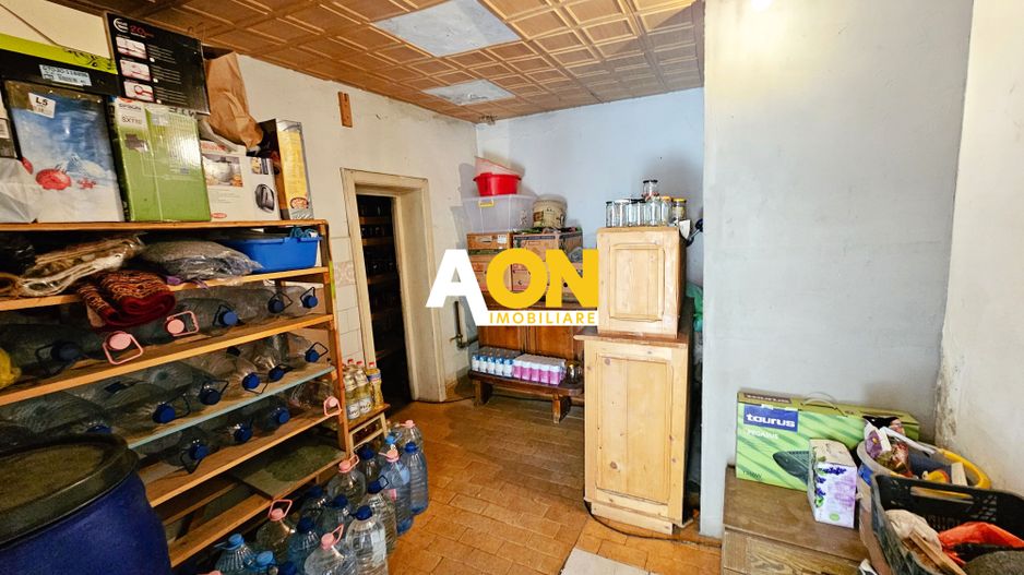 Proprietate cu potențial mixt – locuință și spațiu de lucru în Partoș - Poză 17