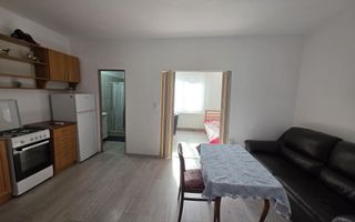 Studio la curte utilat complet cu terasa  zona Lazaret - Poză 1