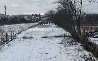 Casă la Roșu plus teren 2500 mp - Poză 4