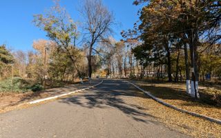 Teren 19.470 mp, investitie ideala, Green City -1 Decembrie, Ilfov - Poză 10