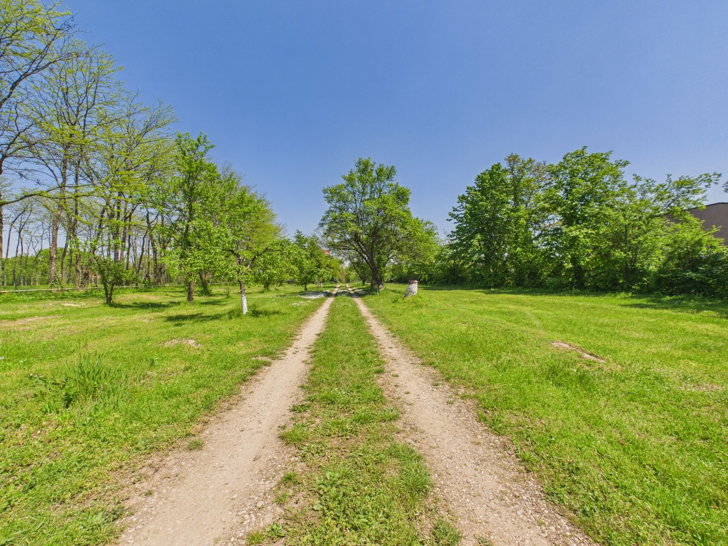 Proprietate unica, vila si 8000 mp pe malul lacului Snagov - Poză 33