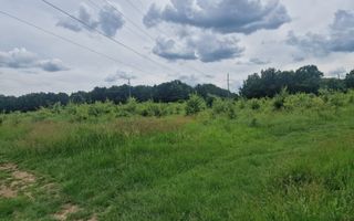 Teren extravilan Pitesti - str. Balotesi!! - Poză 10