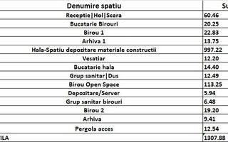 Hale industriale noi | Sanandrei | A1 - Poză 12