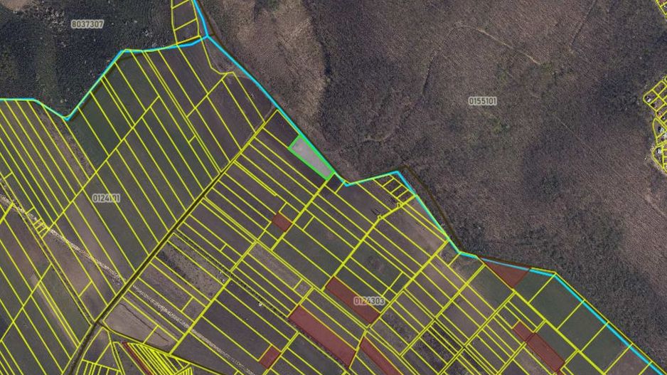 Teren 41,49 ari Ghidighici | deschidere 122 m | agricol | investiție - Poză 1