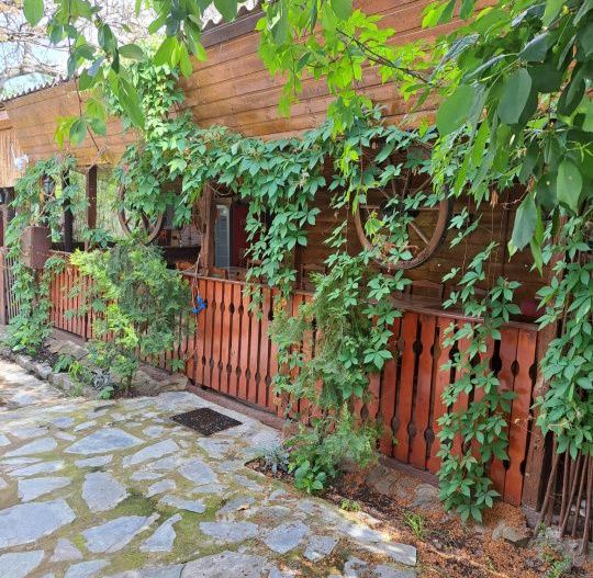 Proprietate de excepție în Lelești – la doar 8 km de Târgu Jiu - Poză 48