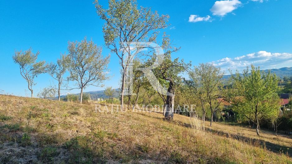Casă renovata cu teren generos | Anexe | Gurasada | Hunedoara - Poză 39