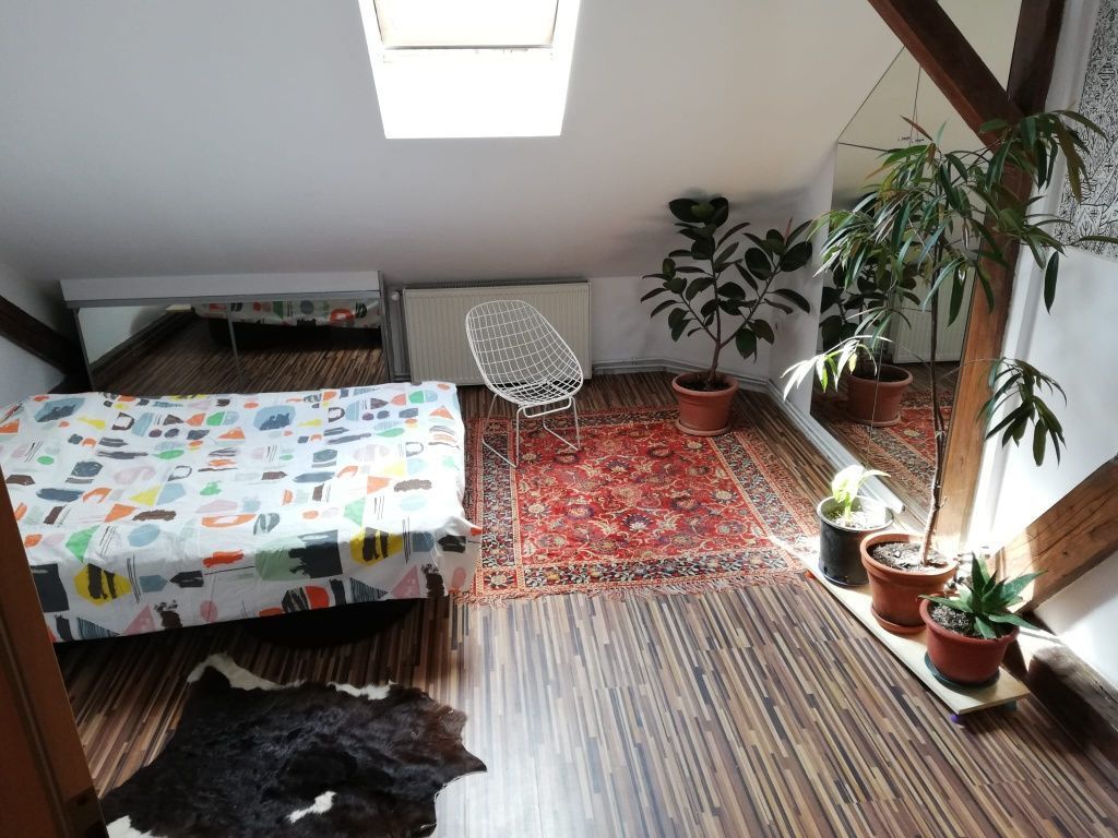 Apartament 4 camere | 175 mp | Bulevardul Victor Babeș | Ideal pentru - Poză 3