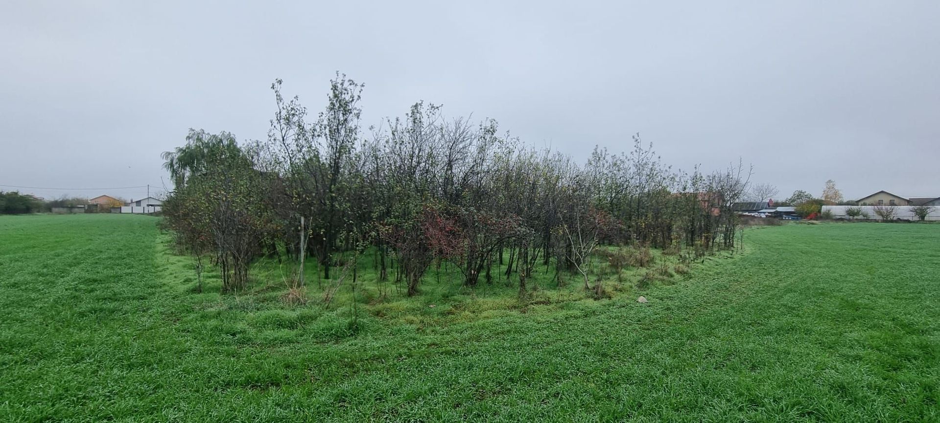 lot Individual - Casa Vila - Poză 4