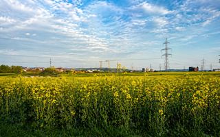 TEREN INVESTIȚIONAL MAJOR – PUZ APROBAT | P+8 | Zonă în EXPANSIUNE - Poză 1