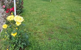 Casa de vanzare in exclusivitate | Avrig - Poză 6