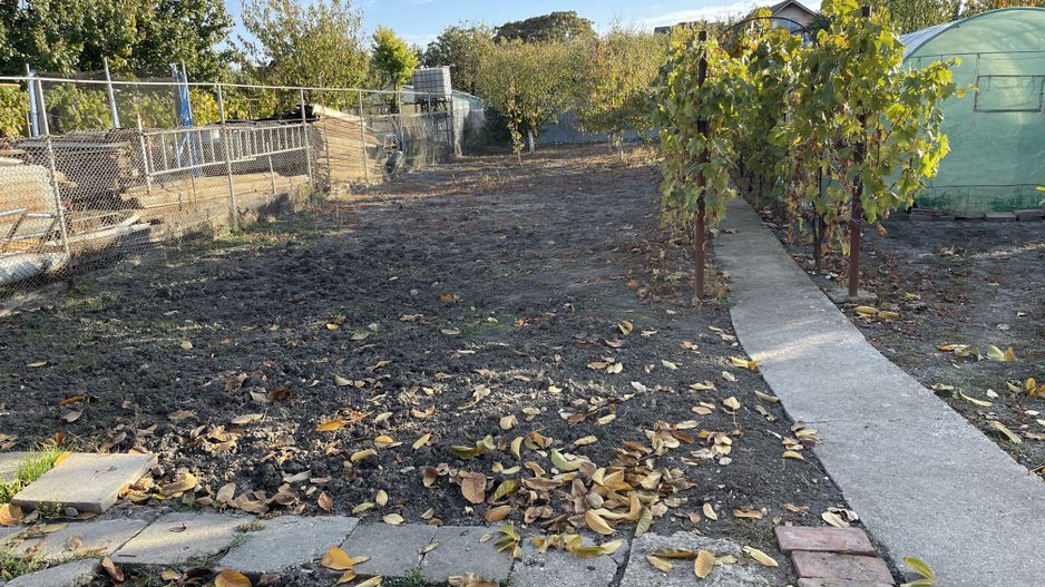 Teren ideal pentru constructie noua-800 mp cu front 22 ml - Poză 1