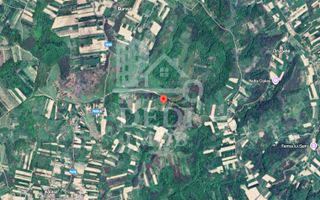 Teren 1 EURO/mp de vanzare in Tileagd-Balaia, Bihor - Poză 3