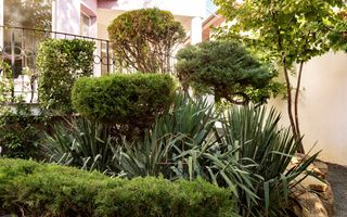 Timisoara - Girocului Vila 12 Camere 4 Bai | 497mp Utili 1373mp Teren - Poză 38