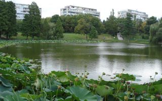 Închiriere apartament 3 camere, Parcul Circului, București - Poză 8