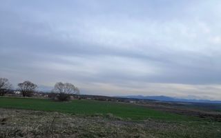 Teren Arabil Turnișor - Spre ferma de pui - Poză 3