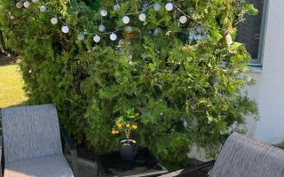 AFACERE PENSIUNE CU 8 CAMERE DE ÎNCHIRIAT - ZONA BĂNEASA - Poză 31